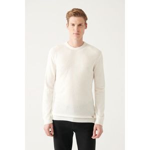 Avva Men's White Crew Neck Front Textured Regular Fit Knitwear Sweater obraz