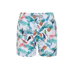 Trendyol White Standard Size Pineapple & Parrot Patterned Swim Shorts obraz