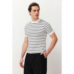 Trendyol White Slim-Tight Fit Crew Neck Striped Knitwear T-Shirt obraz