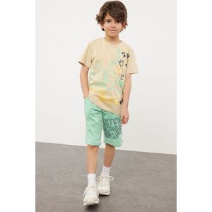 Trendyol Mint Boy Slogan Patterned T-shirt Shorts Set Knitted Top-Bottom Set obraz