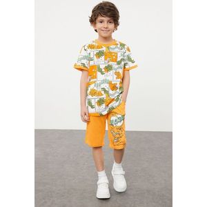 Trendyol Orange Boy's Dinosaur Patterned T-shirt-Shorts Set Knitted Top-Bottom Set obraz
