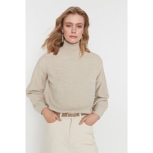 Trendyol Stone Basic Turtleneck Knitwear Sweater obraz