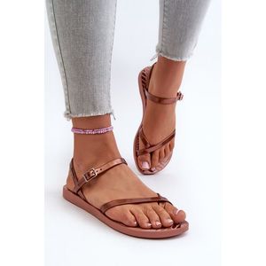 Dámské sandály Ipanema Fashion Sandal VIII Fem Růžovo-hnědá obraz