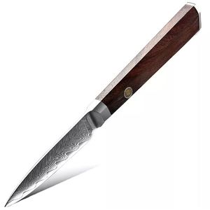 Damaškový kuchyňský nůž Iwaki Paring obraz