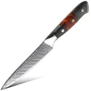 Damaškový kuchyňský nůž Okazaki Paring/23cm obraz