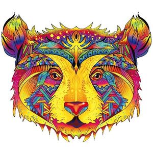 Color Bear/S obraz