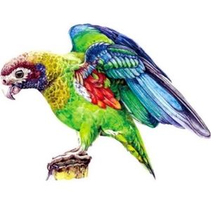 Dřevěné puzzle Macaw/S obraz