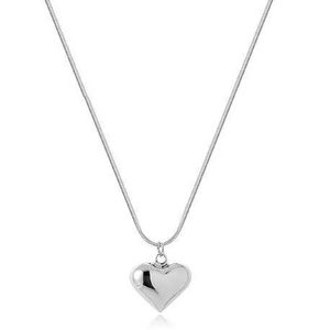 IZMAEL Náhrdelník Simple Heart Stříbrná KP28422 obraz