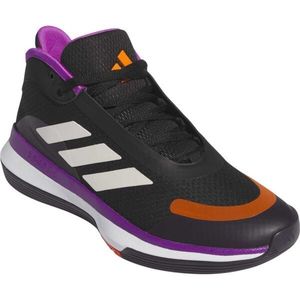 adidas BOUNCE LEGENDS Pánské basketbalové boty, černá, velikost 47 1/3 obraz