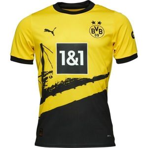 Puma BVB HOME JERSEY Pánský fotbalový dres, žlutá, velikost obraz