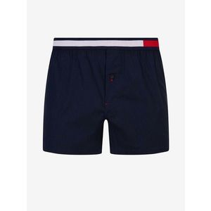 Tommy Hilfiger Underwear Boxerky Modrá obraz