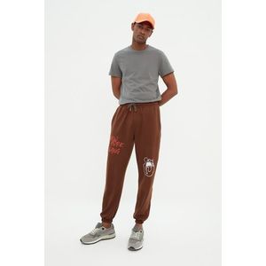 Trendyol Brown Oversize/Wide Cut Letter Printed Jogger Sweatpants with Elastic Legs obraz