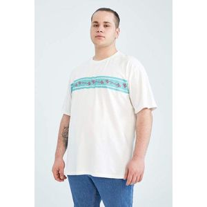 DEFACTO Large Size Crew Neck Cotton Combed Combed T-Shirt obraz