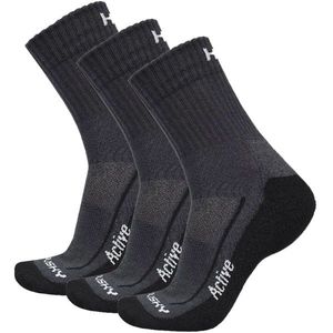 Ponožky HUSKY Active 3pack černá obraz