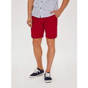 Diverse Men's shorts BERBET VII obraz