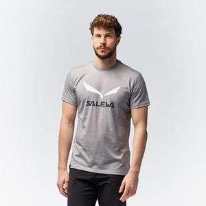 Pánské tričko Salewa Solidlogo Dri-Release Heather Grey obraz