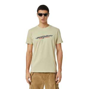 Diesel T-shirt - T-DIEGOR-IND T-SHIRT beige obraz