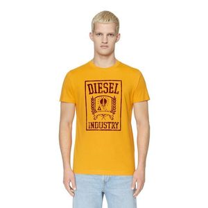 Diesel T-shirt - T-DIEGOR-E10 T-SHIRT orange obraz