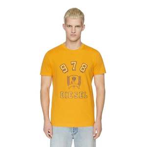 Diesel T-shirt - T-DIEGOR-E11 T-SHIRT orange obraz