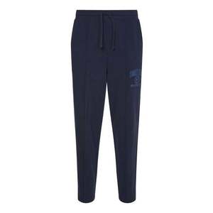 Tommy Jeans Sweatpants - TJM COLLEGIATE BAXTER SWEATPANT blue obraz