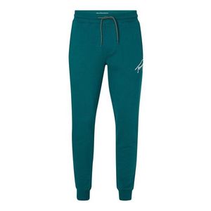 Tommy Jeans Sweatpants - TJM SIGNATURE SWEATP green obraz