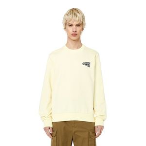 Diesel Sweatshirt - S-GINN-K31 SWEAT-SHIRT beige obraz