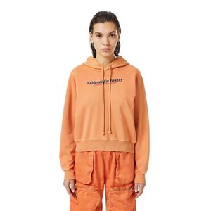Diesel Sweatshirt - F-REGGY-HOOD-IND SWEAT-SHIRT orange obraz