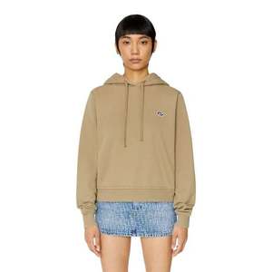 Diesel Sweatshirt - F-REGGY-HOOD-DOVAL-PJ SWEAT-SH beige obraz