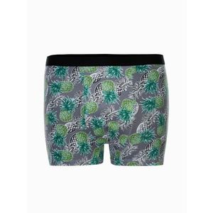 Edoti Men's boxer shorts obraz