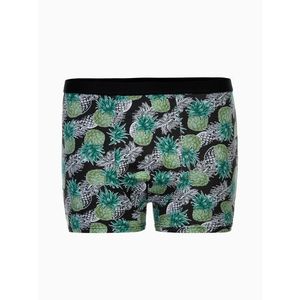 Edoti Men's boxer shorts obraz