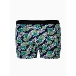 Edoti Men's boxer shorts obraz