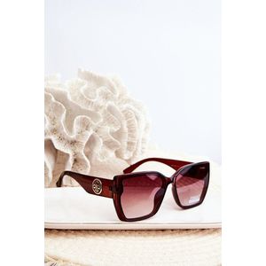 Dámské klasické sluneční brýle s ozdobnými detaily UV400 Brown obraz