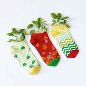 Banana Socks Unisex's Socks Set Springtime Set obraz