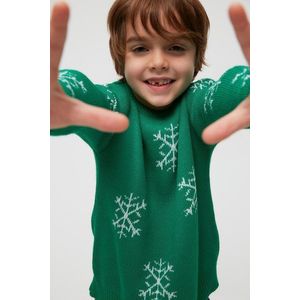 Trendyol Green Jacquard Boys' Knitwear Sweater obraz