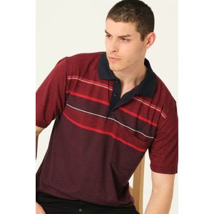 T0721 DEWBBERY MEN'S T-SHIRT-BURGUNDY obraz