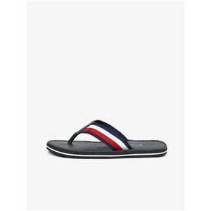 Tommy Hilfiger Beach obraz