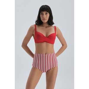 Dagi Red Lined Half-Padded Bikini Top obraz