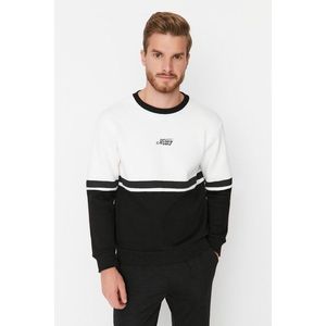 Trendyol Ecru Regular/Normal Cut Long Sleeve Crew Neck Printed Paneled Sweatshirt obraz