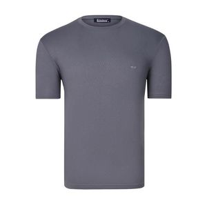 T0737 DEWBERRY MENS T-SHIRT-PLAIN SMOKED obraz