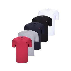 QUINTUPLE SET T8568 DEWBERRY V-NECK MENS T-SHIRT-BLACK-WHITE-NAVY BLUE-GREY-BURGUNDY obraz