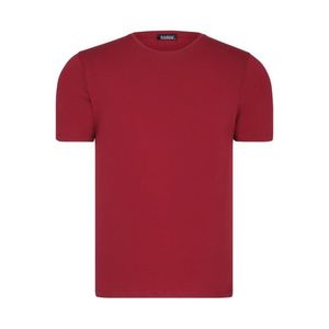 T8569 DEWBERRY BIKE COLLAR MEN'S T-SHIRT-PLAIN BURGUNDY obraz