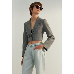 Trendyol Gray Limited Edition Crop Woven Blazer Jacket obraz