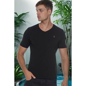 T8568 DEWBERRY V-NECK MENS T-SHIRT-PLAIN BLACK obraz