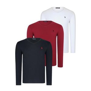 TRIPLE SET T8587 DEWBERRY V-NECK MEN'S SWEATSHIRT-BLACK-WHITE-BURGUNDY obraz