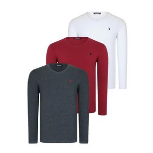 TRIPLE SET T8587 DEWBERRY V-NECK MEN'S SWEATSHIRT-WHITE-ANTHRACITE-BURGUNDY obraz