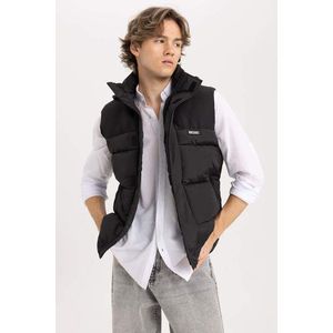 DEFACTO Regular Fit Gilet Vest obraz