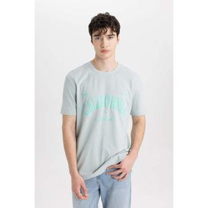 DEFACTO Regular Fit Crew Neck T-Shirt obraz