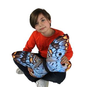 Bertoni Home Unisex's Butterfly Pillow Anartia obraz