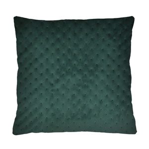 Bertoni Home Unisex's Pillow Royal Green obraz