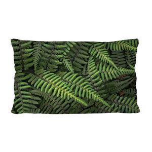 Bertoni Home Unisex's Rectangular Pillow Ferns obraz